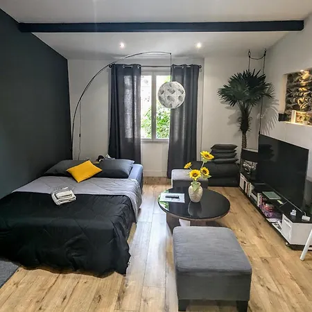 Grand Duplex - Parking Prive - Centre - Calme Toulouse