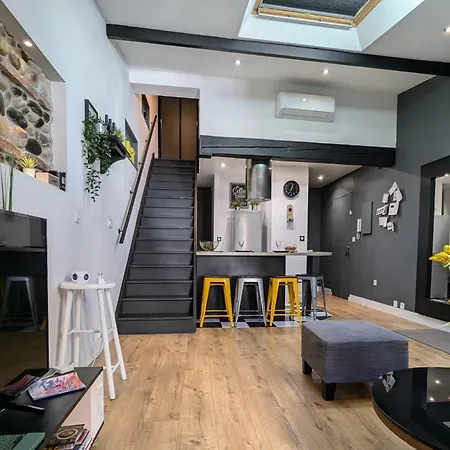 Grand Duplex - Parking Prive - Centre - Calme Appartement